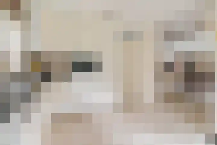 Rechterlaan 8 Enschede thumbnail 14