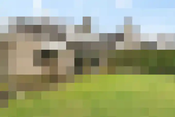 Rechterlaan 8 Enschede thumbnail 33