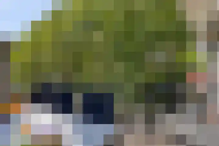 Rechterstraat 2 a Boxtel thumbnail 25