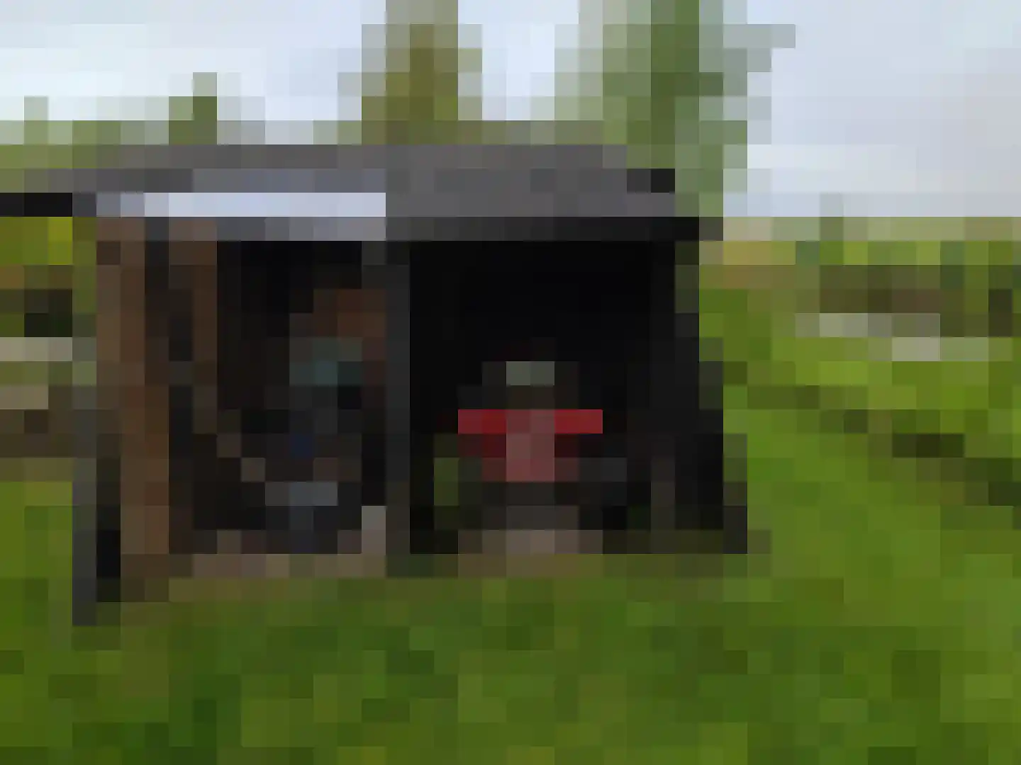 Rechtestraat 1149 De Rijp thumbnail 10