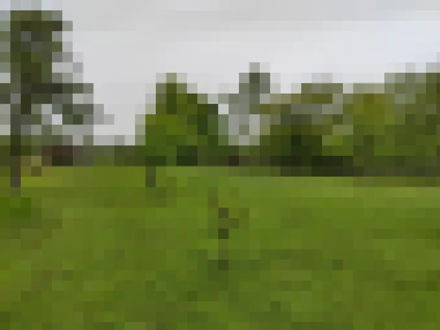 Rechtestraat 1149 De Rijp thumbnail 4
