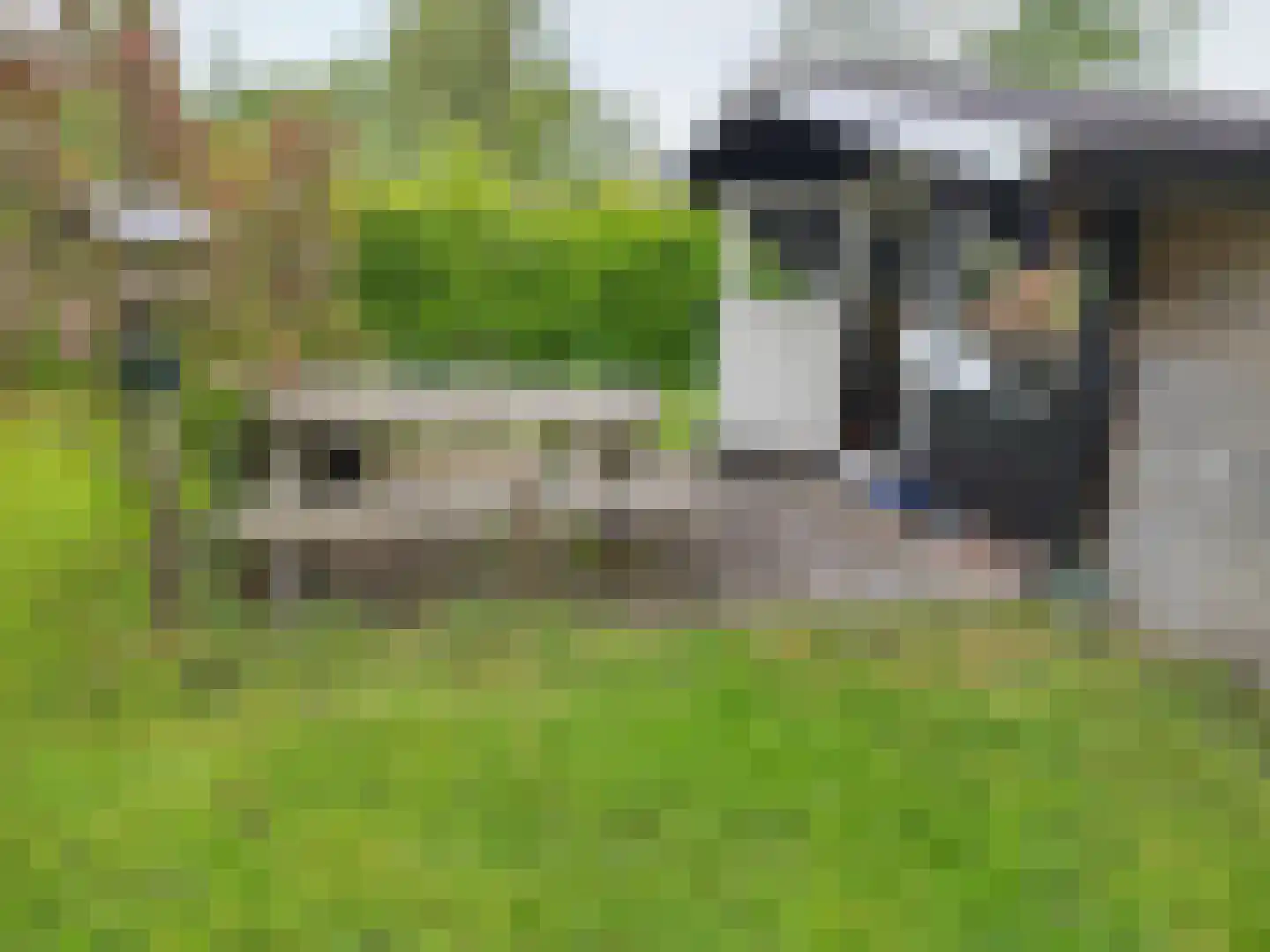 Rechtestraat 1149 De Rijp thumbnail 7
