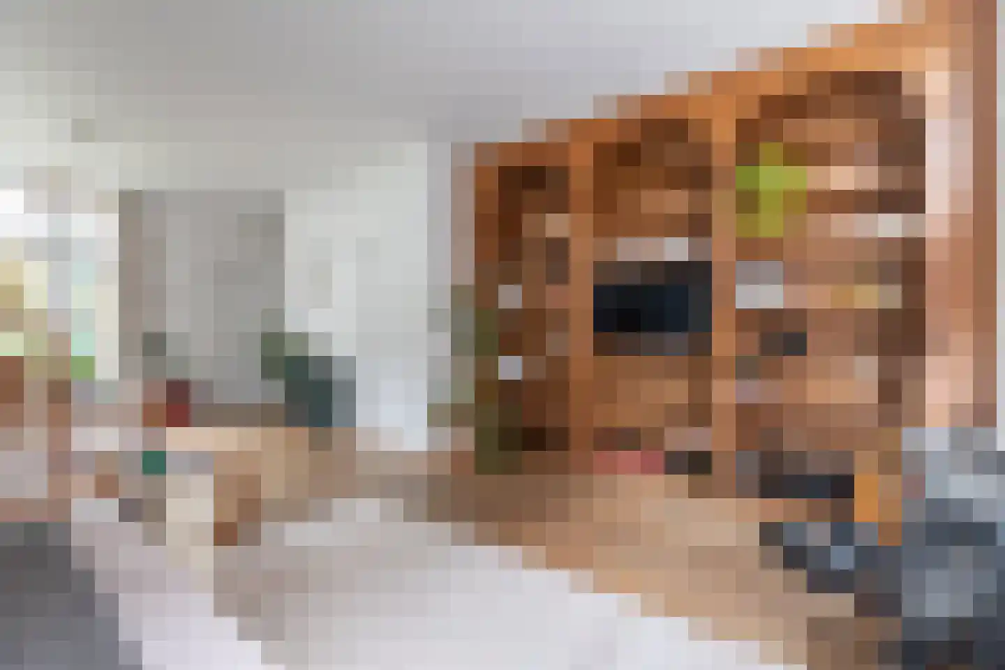 Rechtestraat 138 De Rijp thumbnail 10