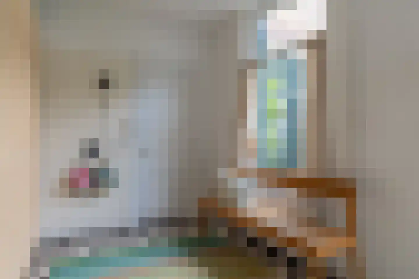 Rechtestraat 138 De Rijp thumbnail 19
