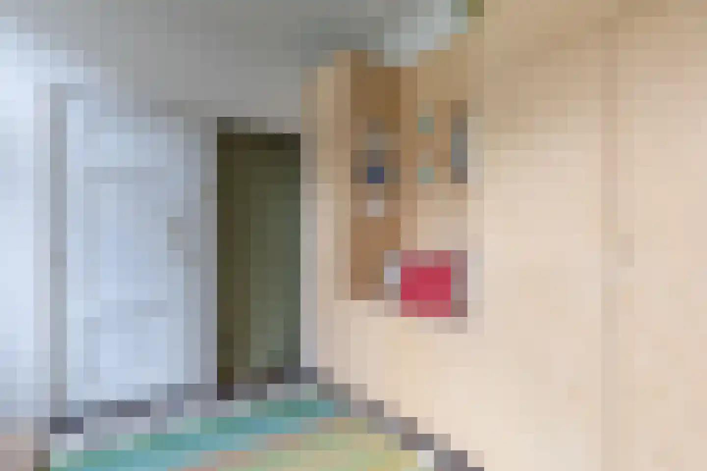 Rechtestraat 138 De Rijp thumbnail 20