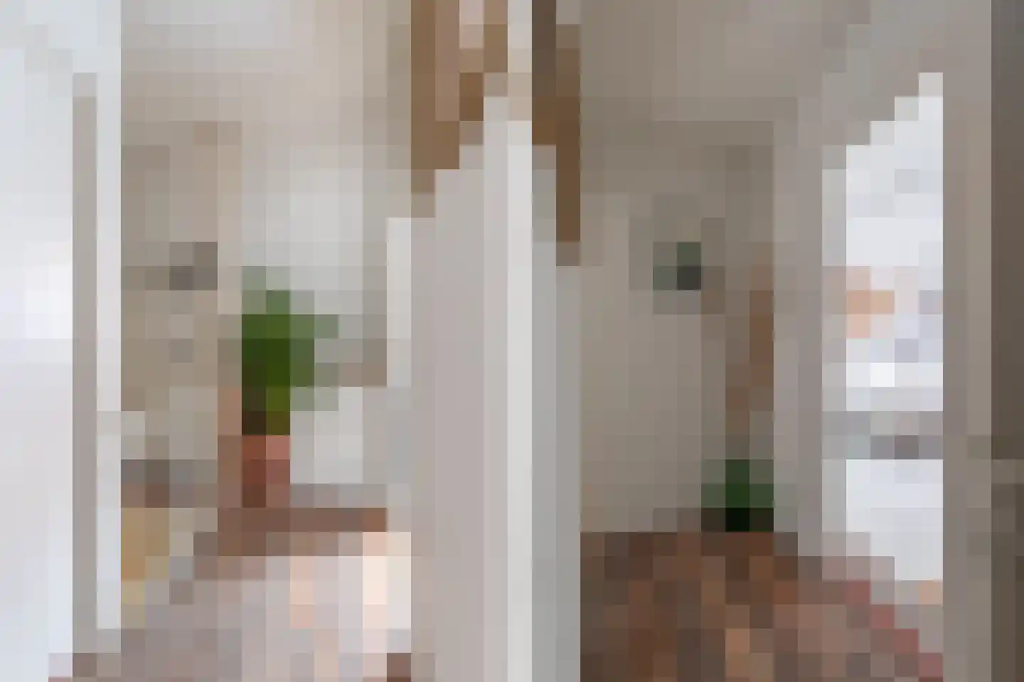 Rechtestraat 138 De Rijp thumbnail 22