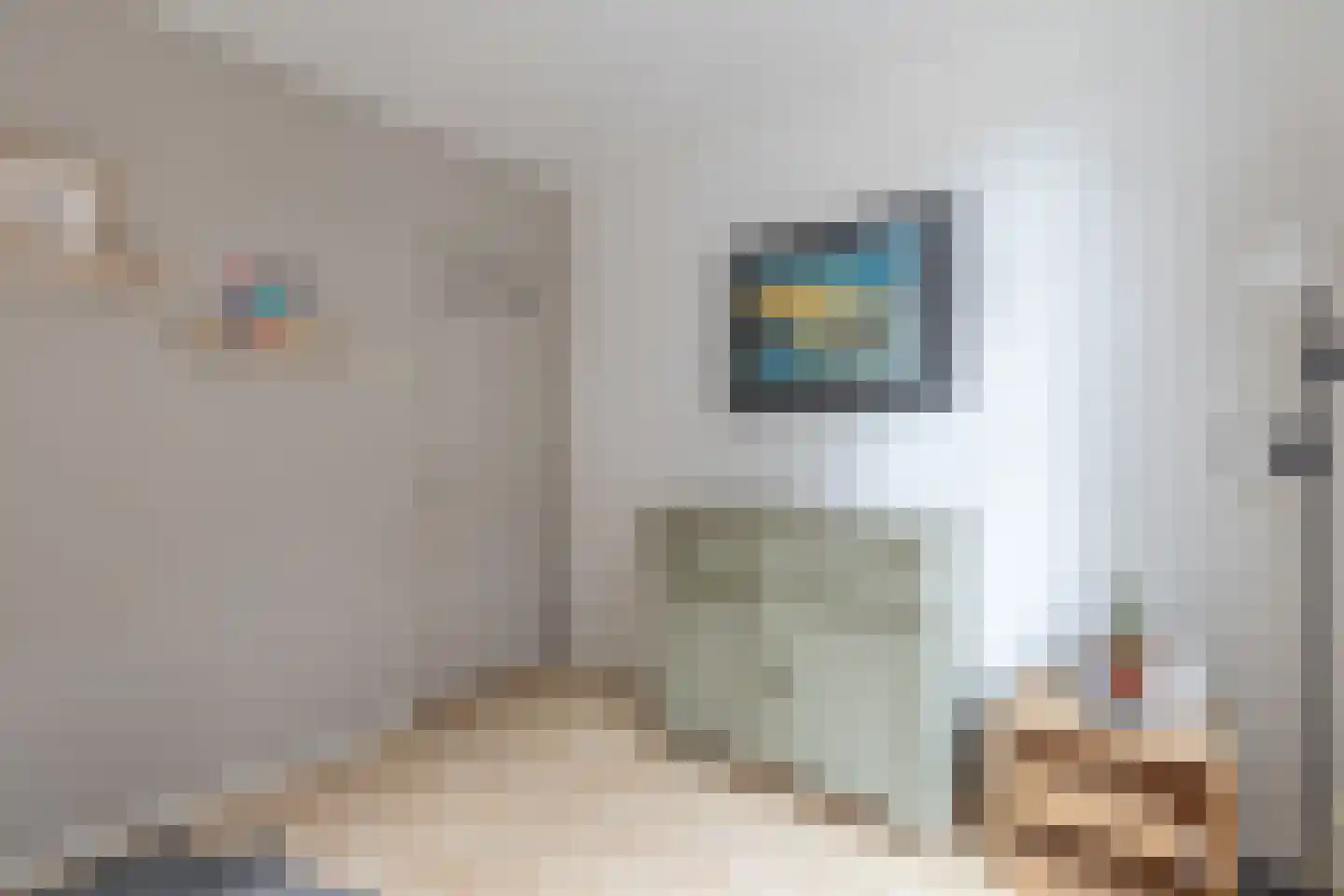 Rechtestraat 138 De Rijp thumbnail 32