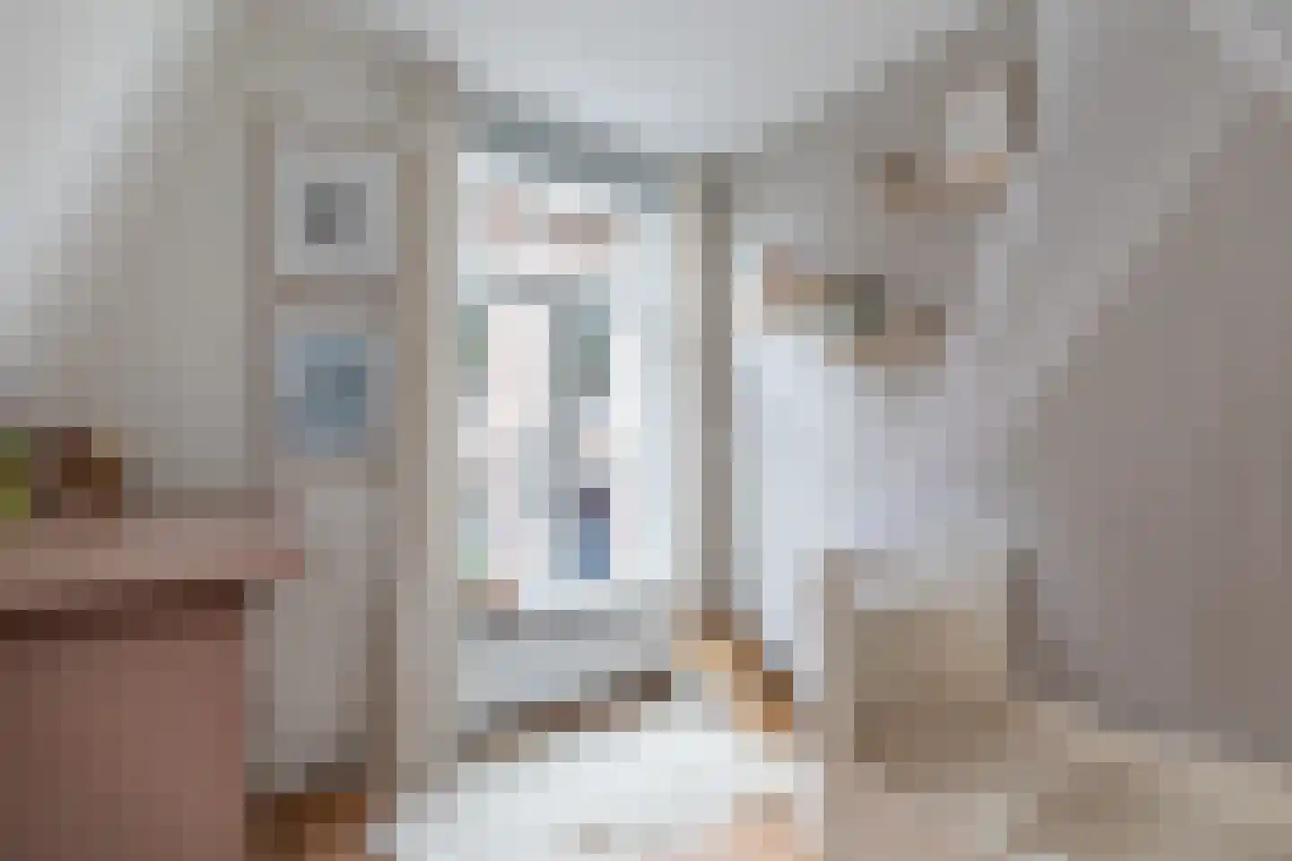 Rechtestraat 138 De Rijp thumbnail 34