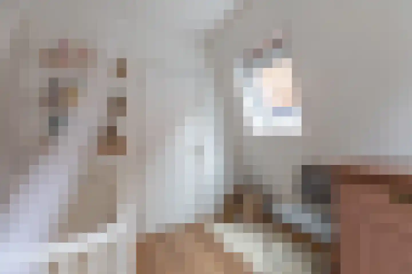 Rechtestraat 138 De Rijp thumbnail 35