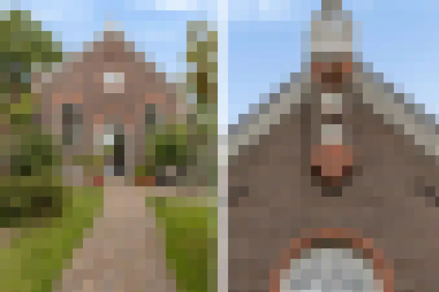 Rechtestraat 138 De Rijp thumbnail 41