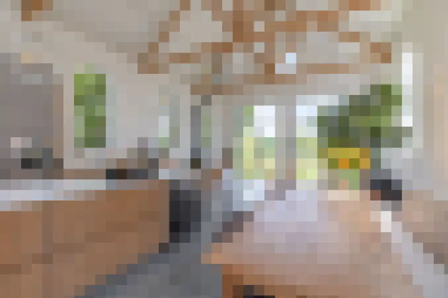 Rechtestraat 138 De Rijp thumbnail 44