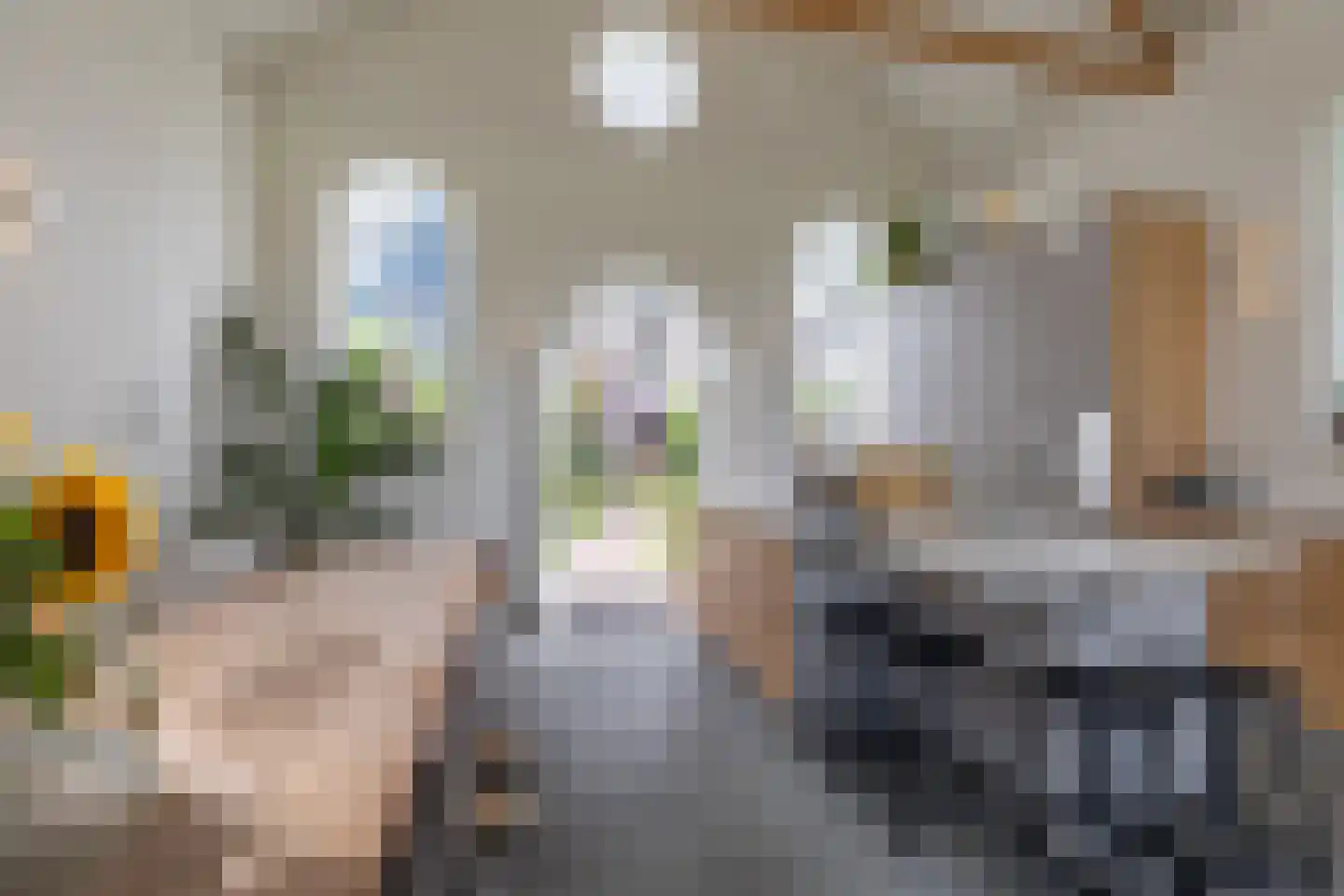 Rechtestraat 138 De Rijp thumbnail 49