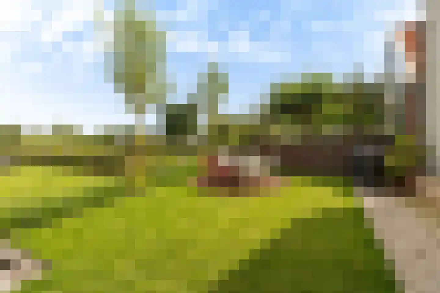 Rechtestraat 138 De Rijp thumbnail 59