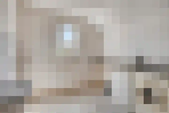 Rechtestraat 14 Asten thumbnail 14