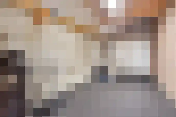 Rechtestraat 14 Asten thumbnail 15