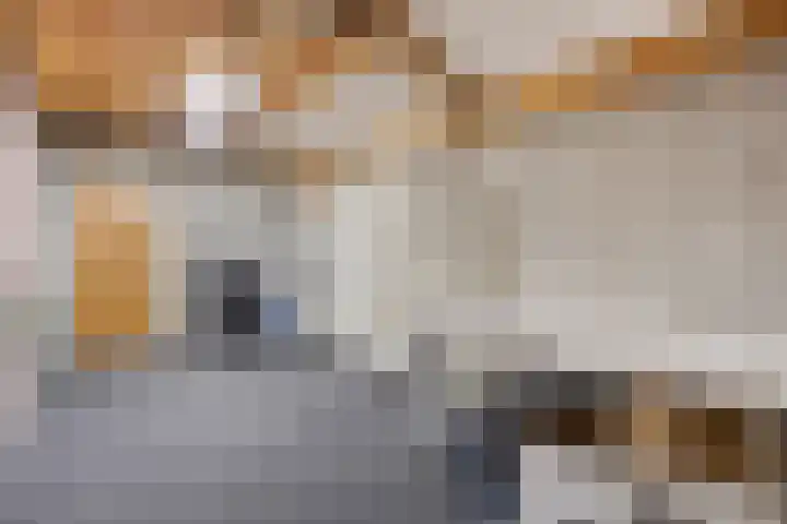 Rechtestraat 14 Asten thumbnail 16