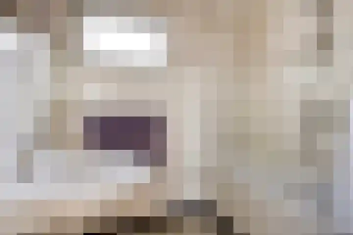 Rechtestraat 14 Asten thumbnail 22