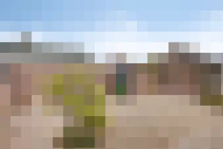 Rechtestraat 14 Asten thumbnail 25