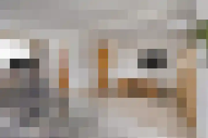 Rechtestraat 14 Asten thumbnail 5