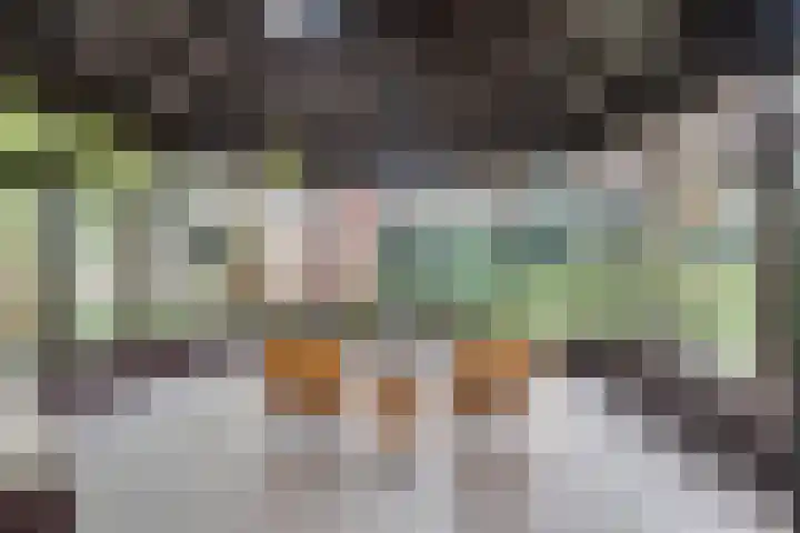 Rechtestraat 142 De Rijp thumbnail 16