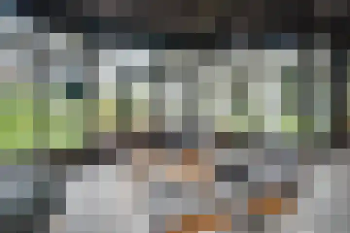 Rechtestraat 142 De Rijp thumbnail 17