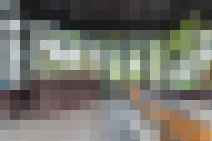 Rechtestraat 142 De Rijp thumbnail 18