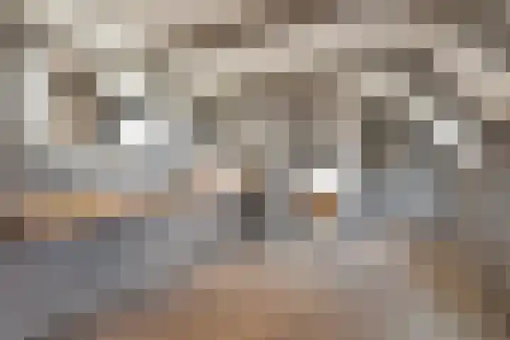 Rechtestraat 142 De Rijp thumbnail 29