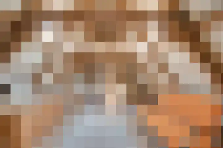 Rechtestraat 142 De Rijp thumbnail 35