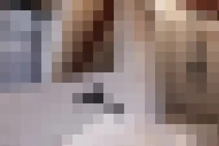 Rechtestraat 142 De Rijp thumbnail 39