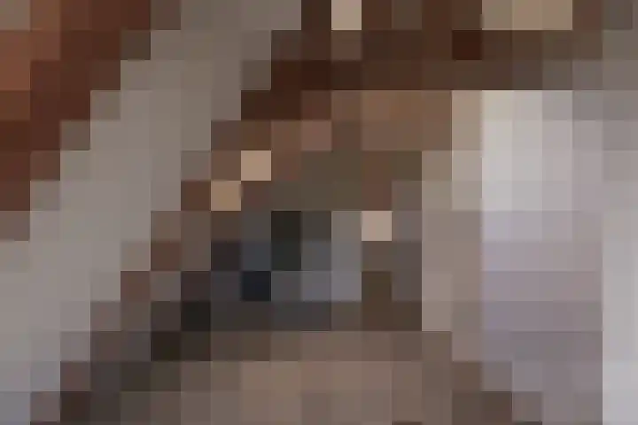 Rechtestraat 142 De Rijp thumbnail 40