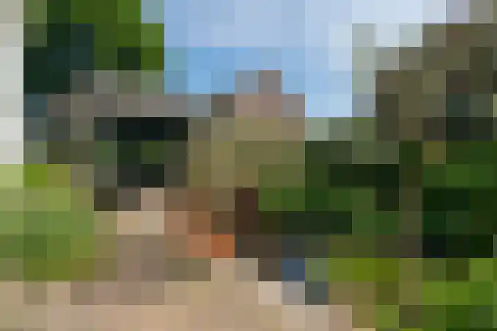 Rechtestraat 142 De Rijp thumbnail 50