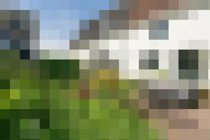 Rechtestraat 142 De Rijp thumbnail 51