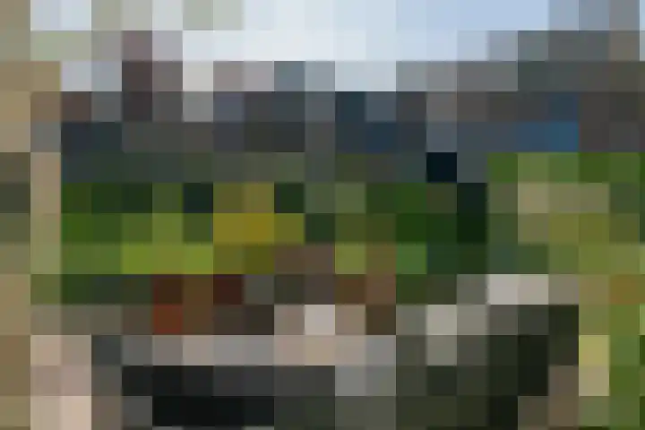 Rechtestraat 142 De Rijp thumbnail 53