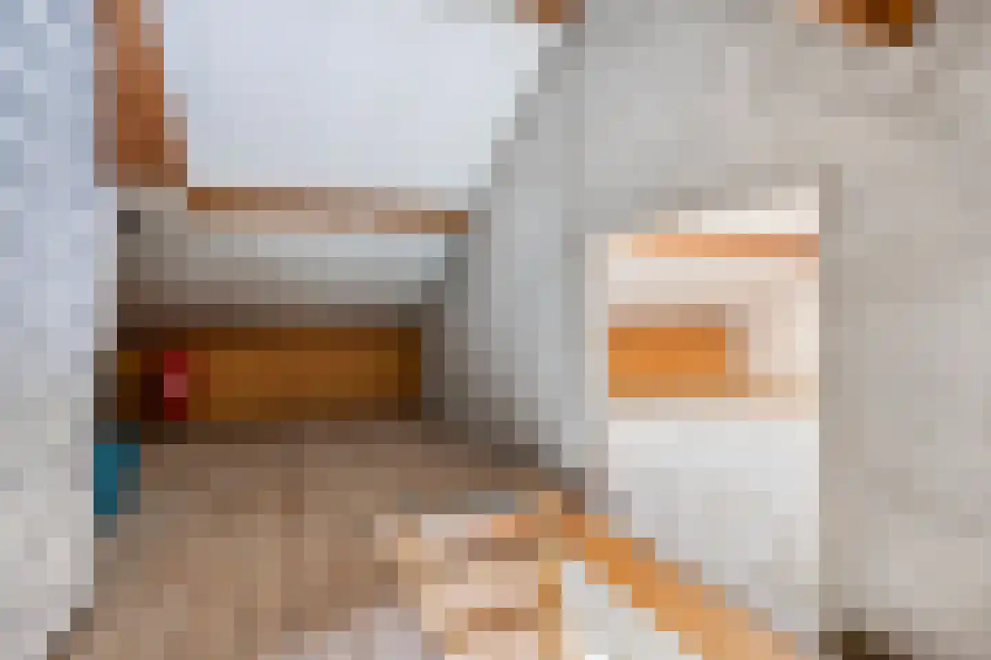 Rechtestraat 16 Asten thumbnail 20