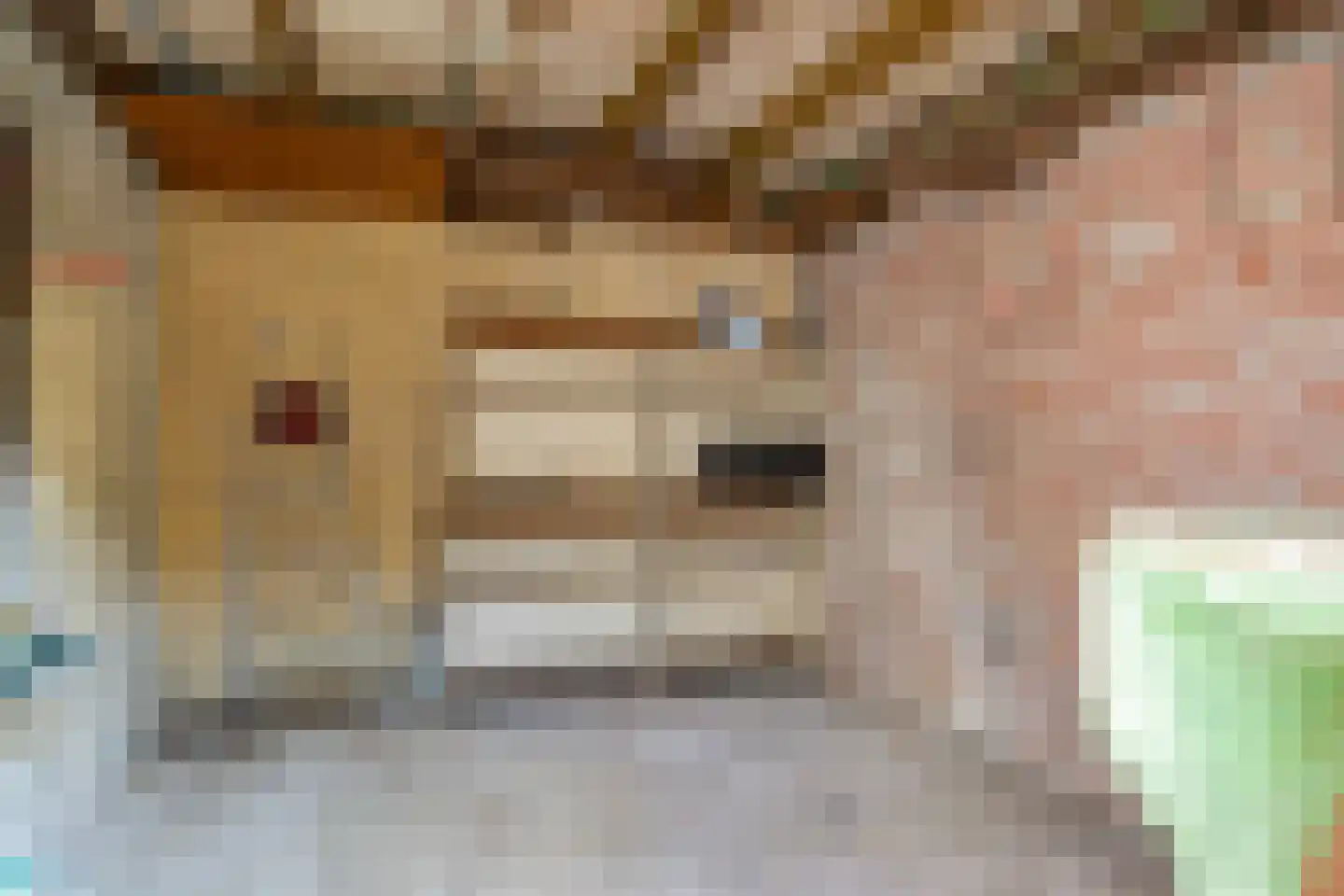 Rechtestraat 16 Asten thumbnail 24
