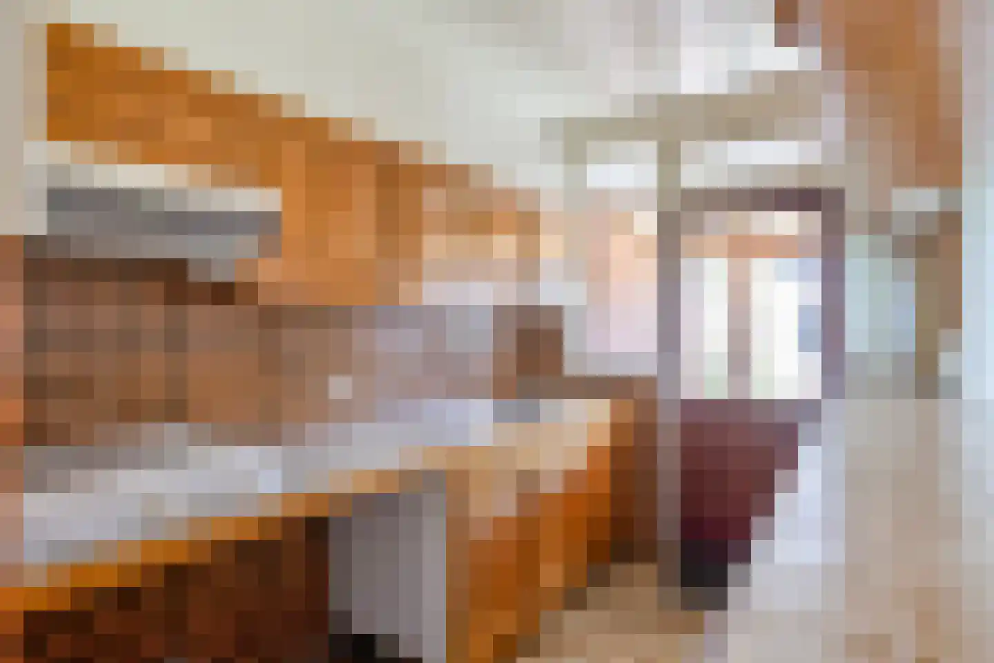 Rechtestraat 16 Asten thumbnail 7