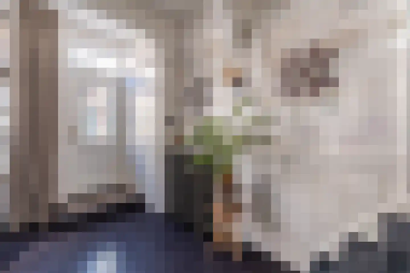 Rechtestraat 25 De Rijp thumbnail 17