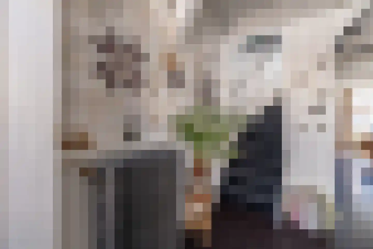 Rechtestraat 25 De Rijp thumbnail 18