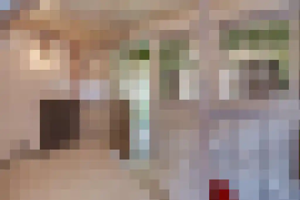 Rechtestraat 25 De Rijp thumbnail 20