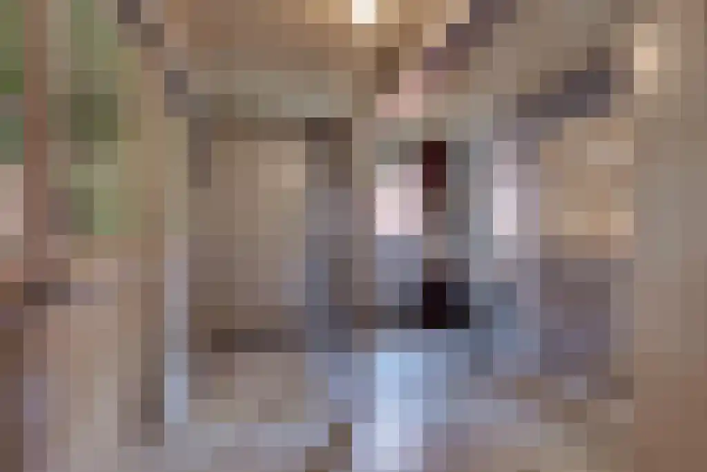 Rechtestraat 25 De Rijp thumbnail 21