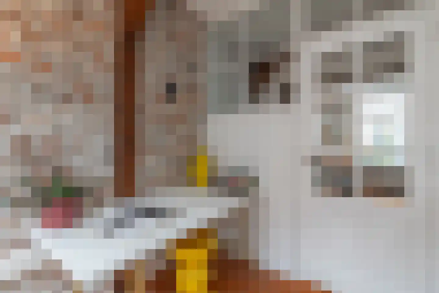 Rechtestraat 29 De Rijp thumbnail 15