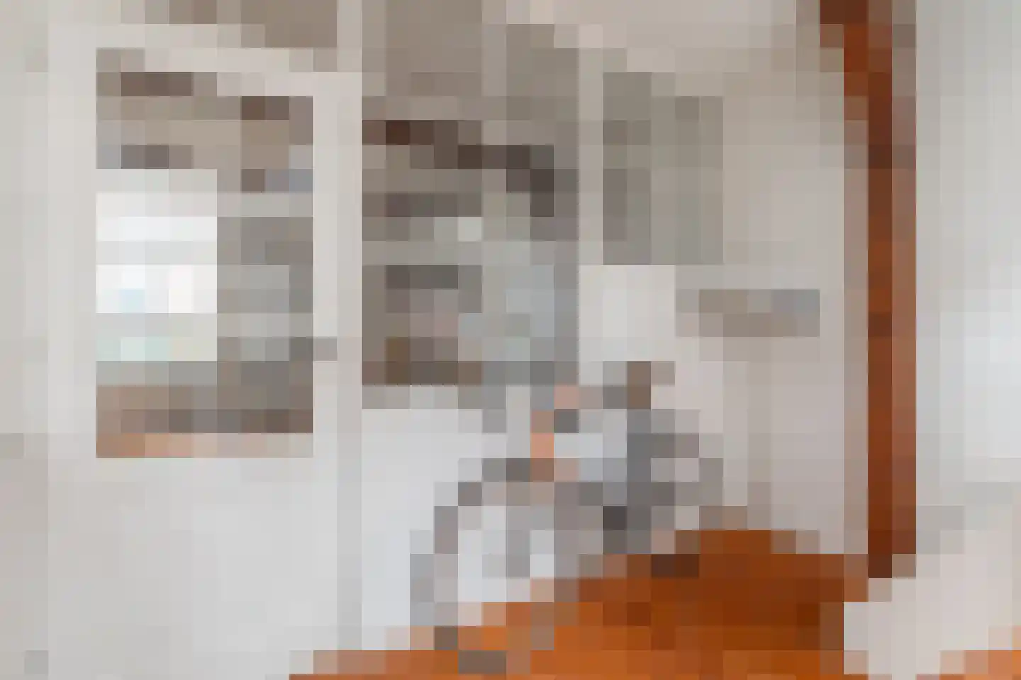 Rechtestraat 29 De Rijp thumbnail 18