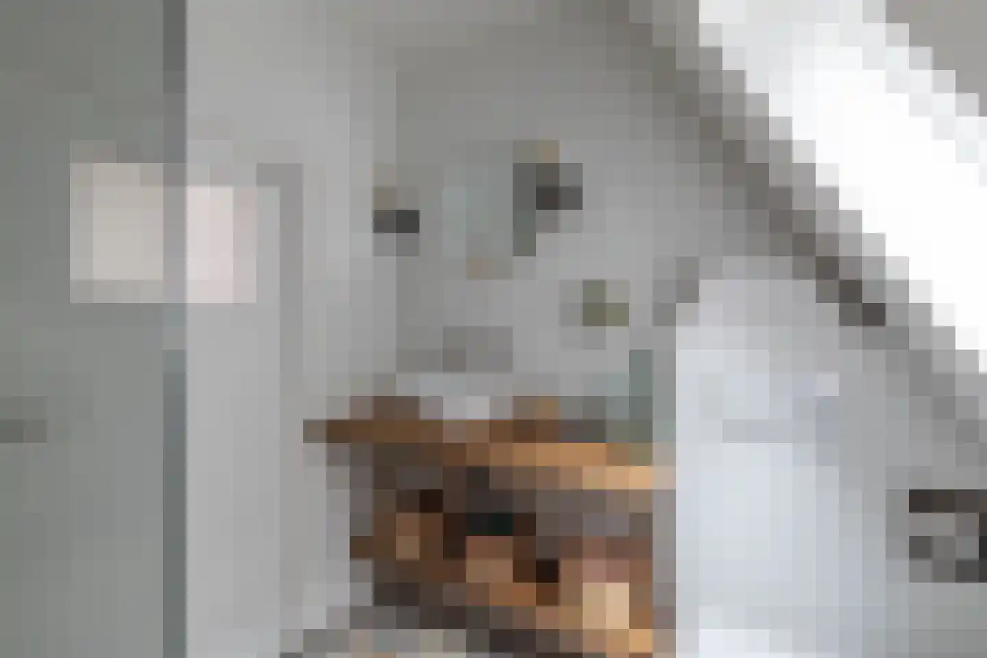 Rechtestraat 29 De Rijp thumbnail 24