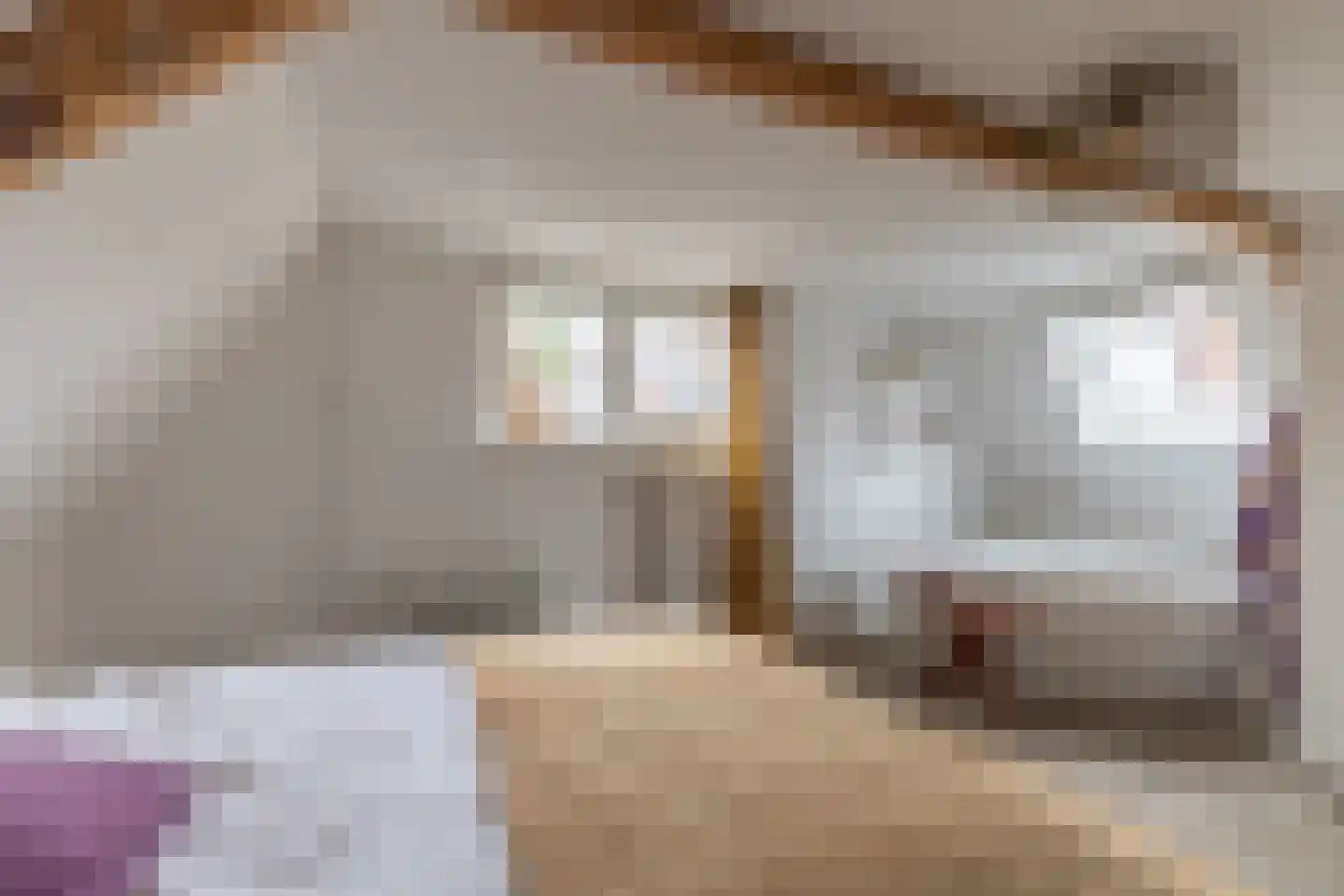 Rechtestraat 29 De Rijp thumbnail 28