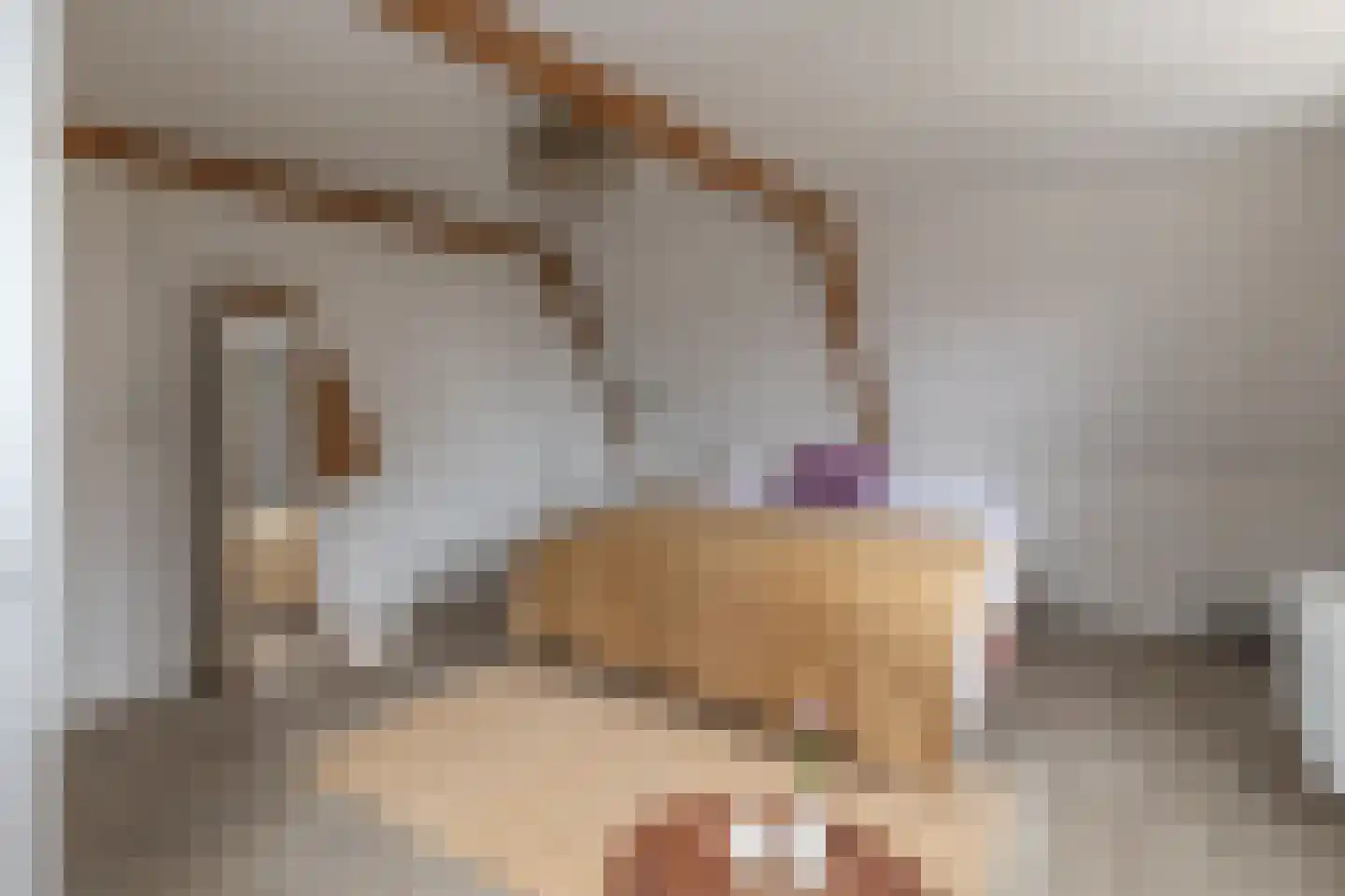 Rechtestraat 29 De Rijp thumbnail 29