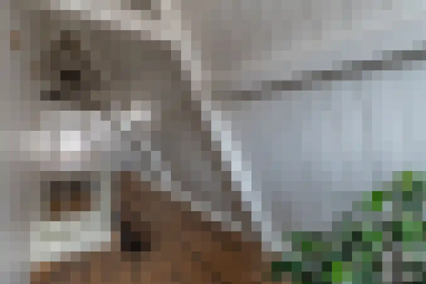 Rechtestraat 29 De Rijp thumbnail 34