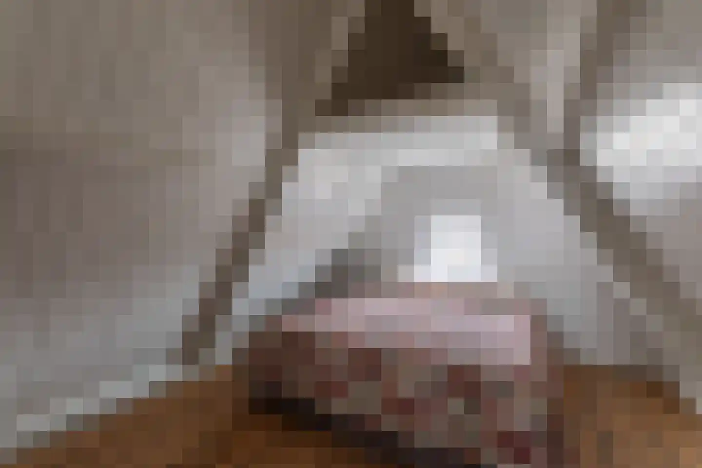 Rechtestraat 29 De Rijp thumbnail 35