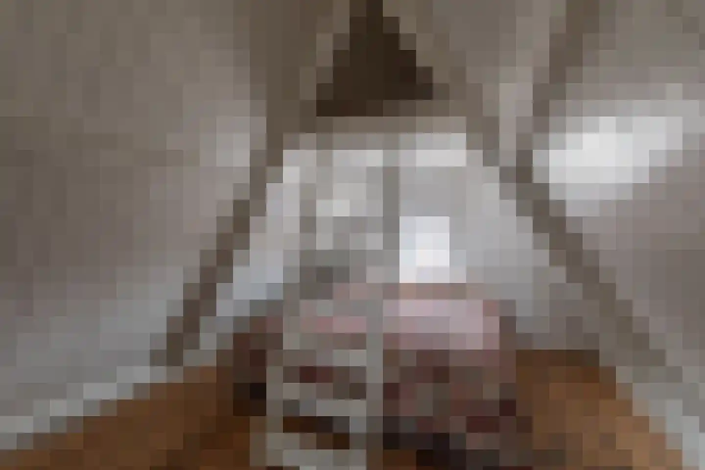 Rechtestraat 29 De Rijp thumbnail 36