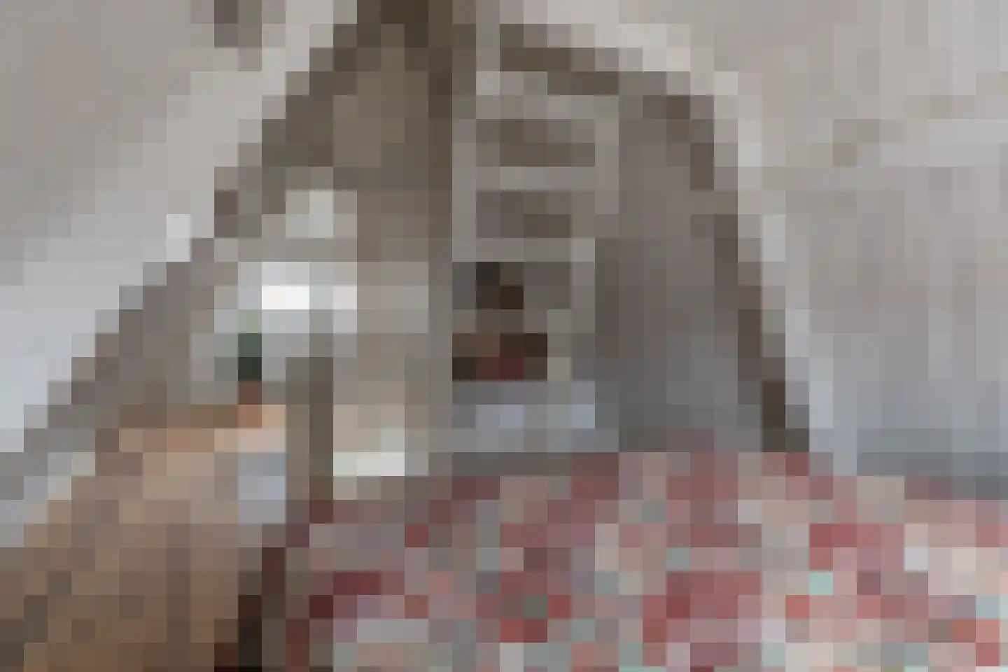 Rechtestraat 29 De Rijp thumbnail 37