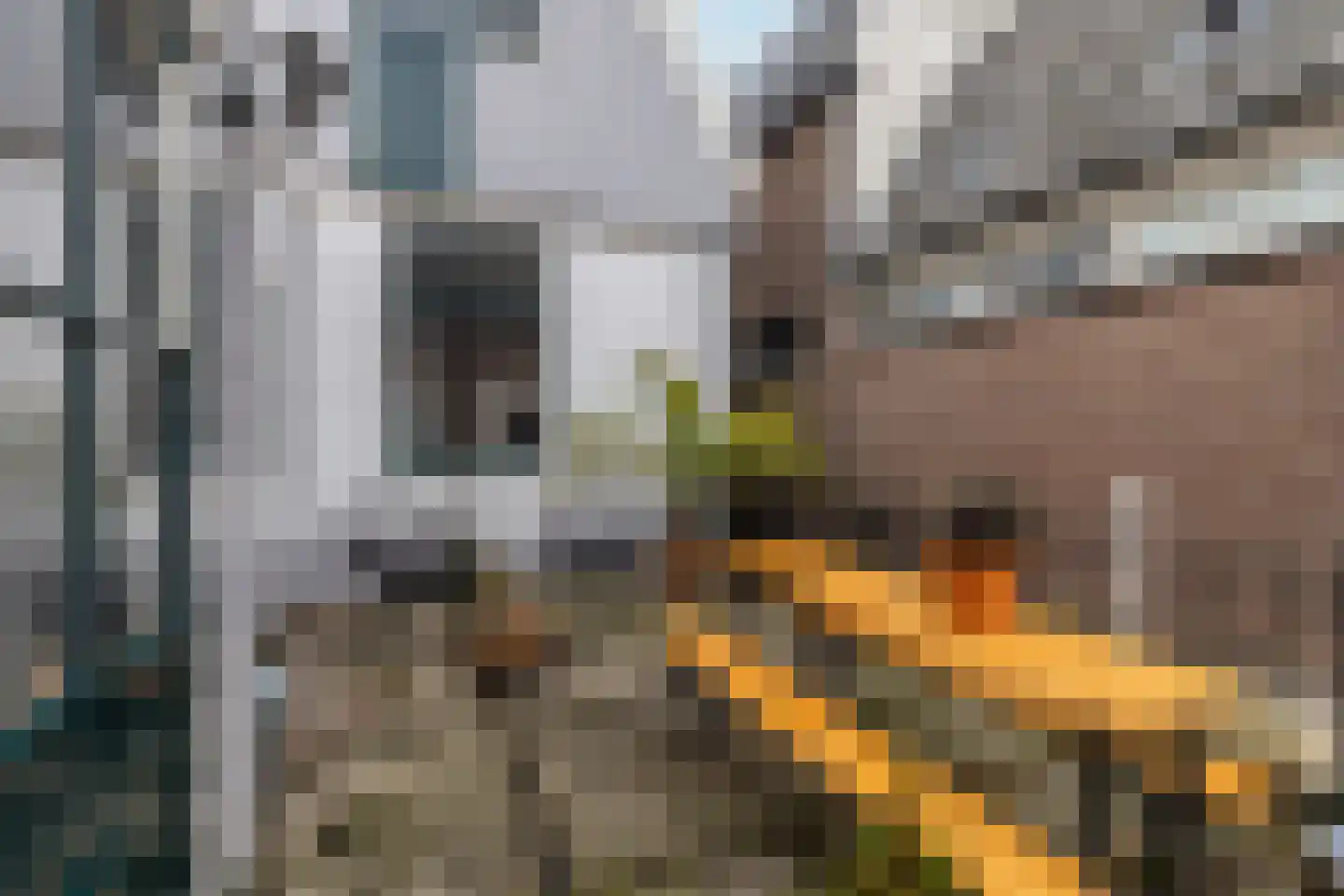 Rechtestraat 29 De Rijp thumbnail 40